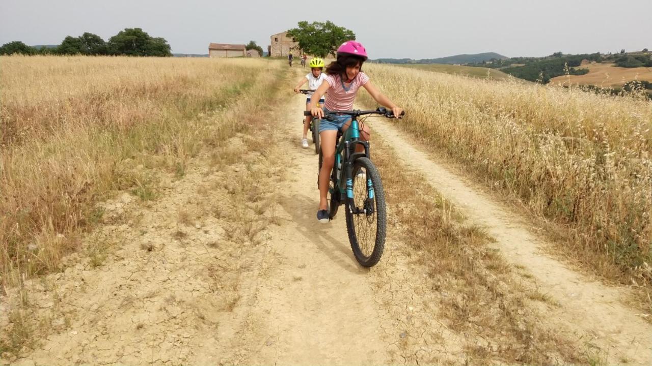 Sole Alloggio per agriturismo Trequanda