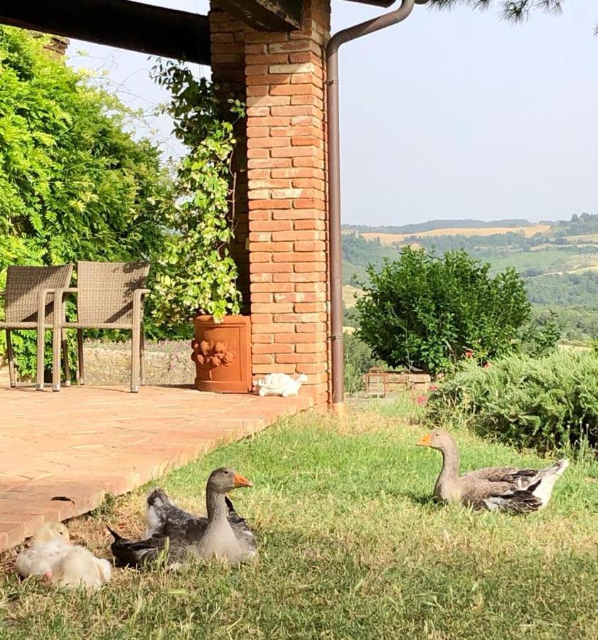 Séjour à la ferme Agriturismo Sole Trequanda