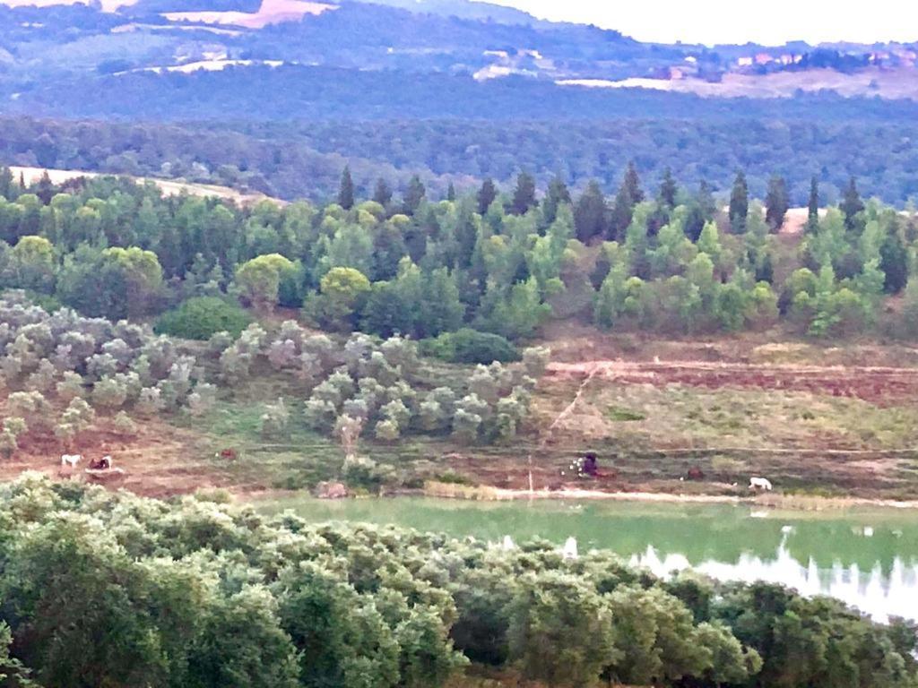Agriturismo Sole * Trequanda