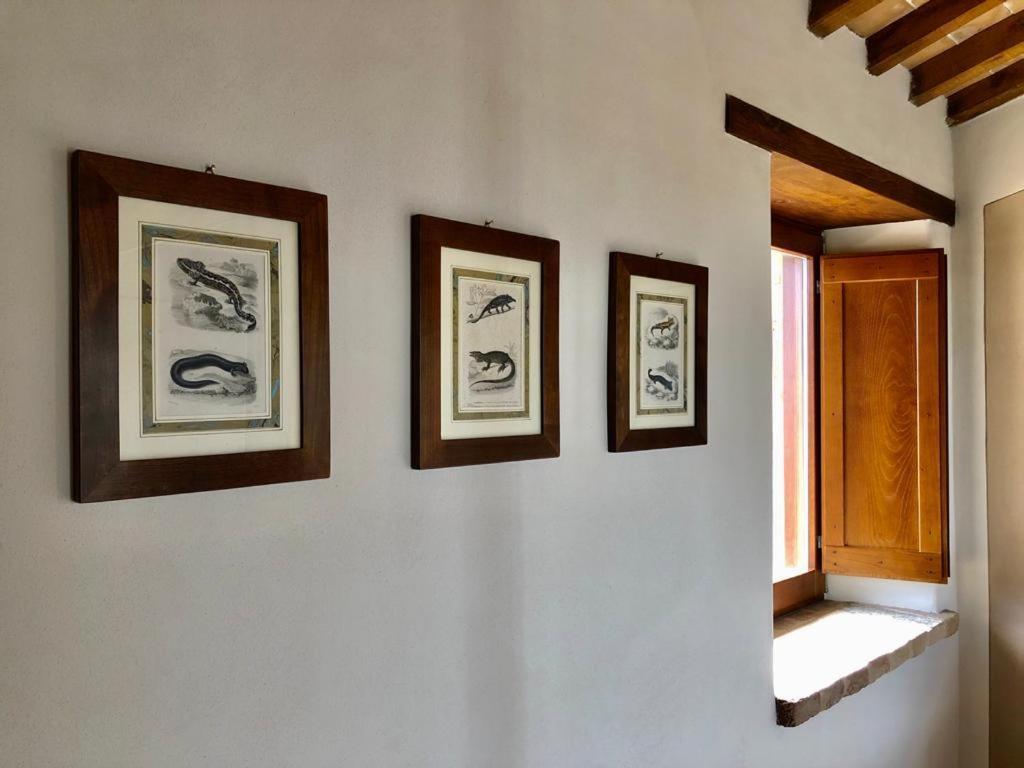 Agriturismo Sole Trequanda