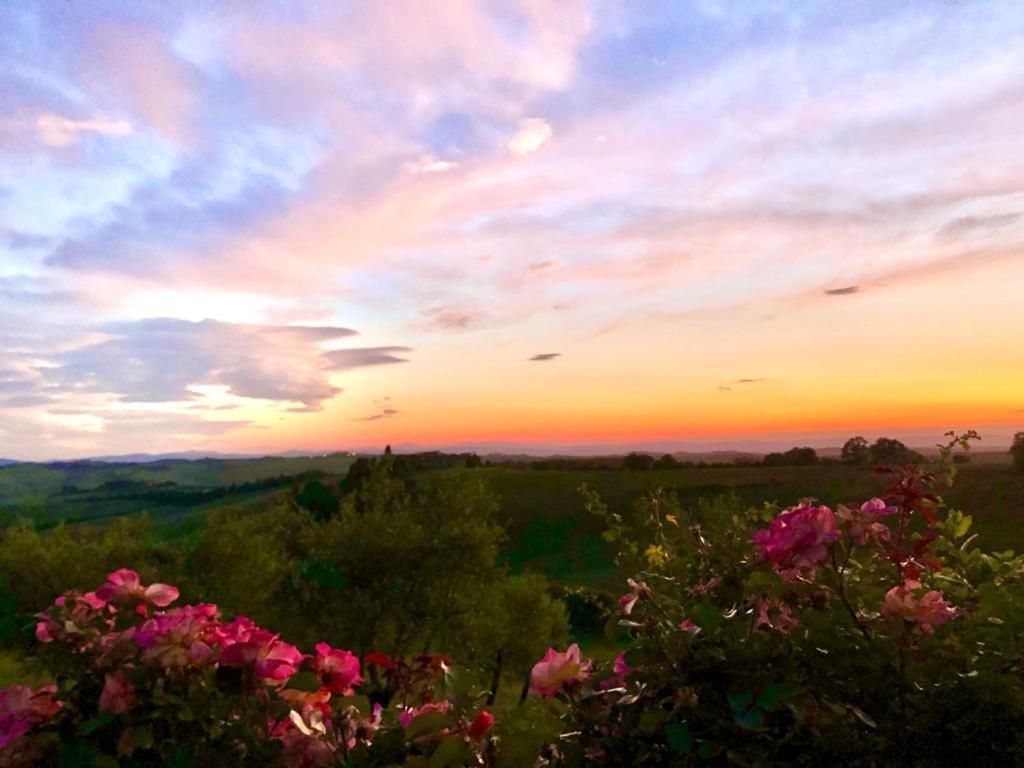 Farm stay Sole Trequanda
