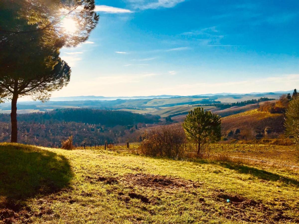 Agriturismo Sole *