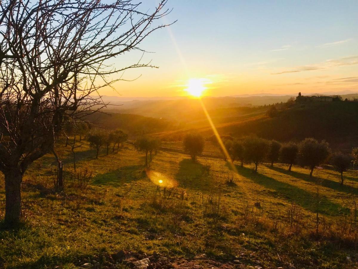 Agriturismo Sole *